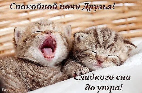 СпдкойноіЁ адкого она до утра