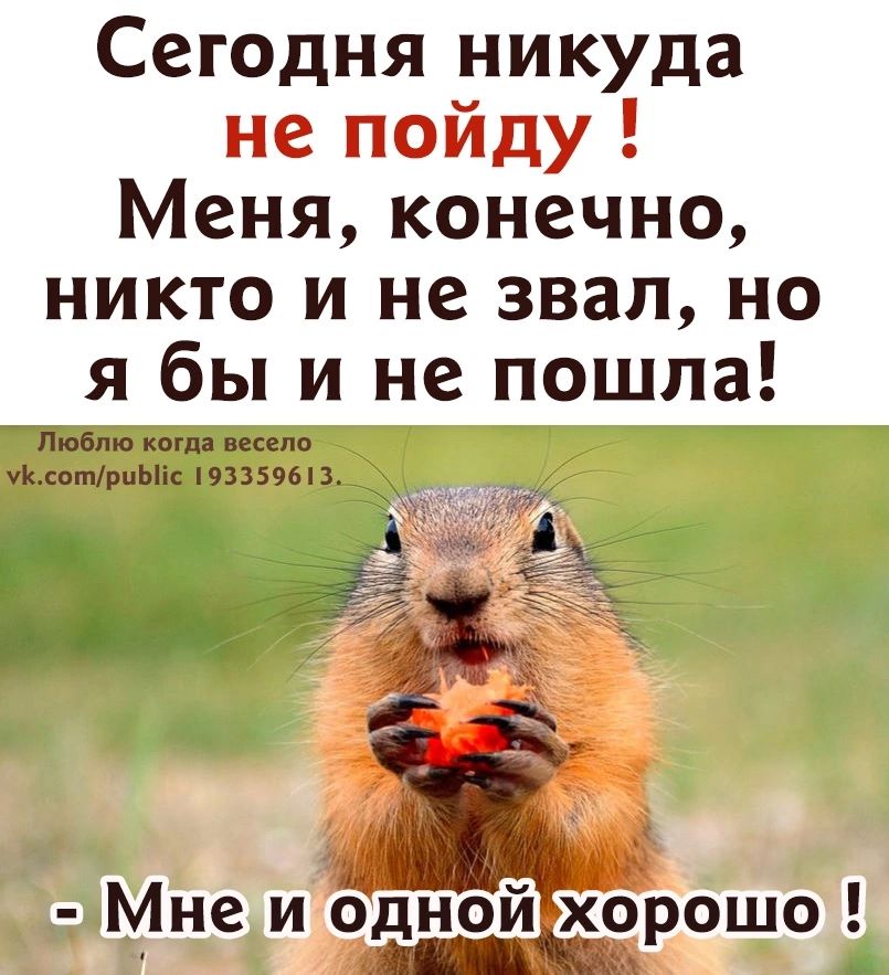 Никто конечно. Сегодня никуда не пойду меня конечно. Сегодня никуда не пойду меня конечно никто и не звал но я бы и не пошла. Сегодня никуда не пойду. Никуда я не пойду.