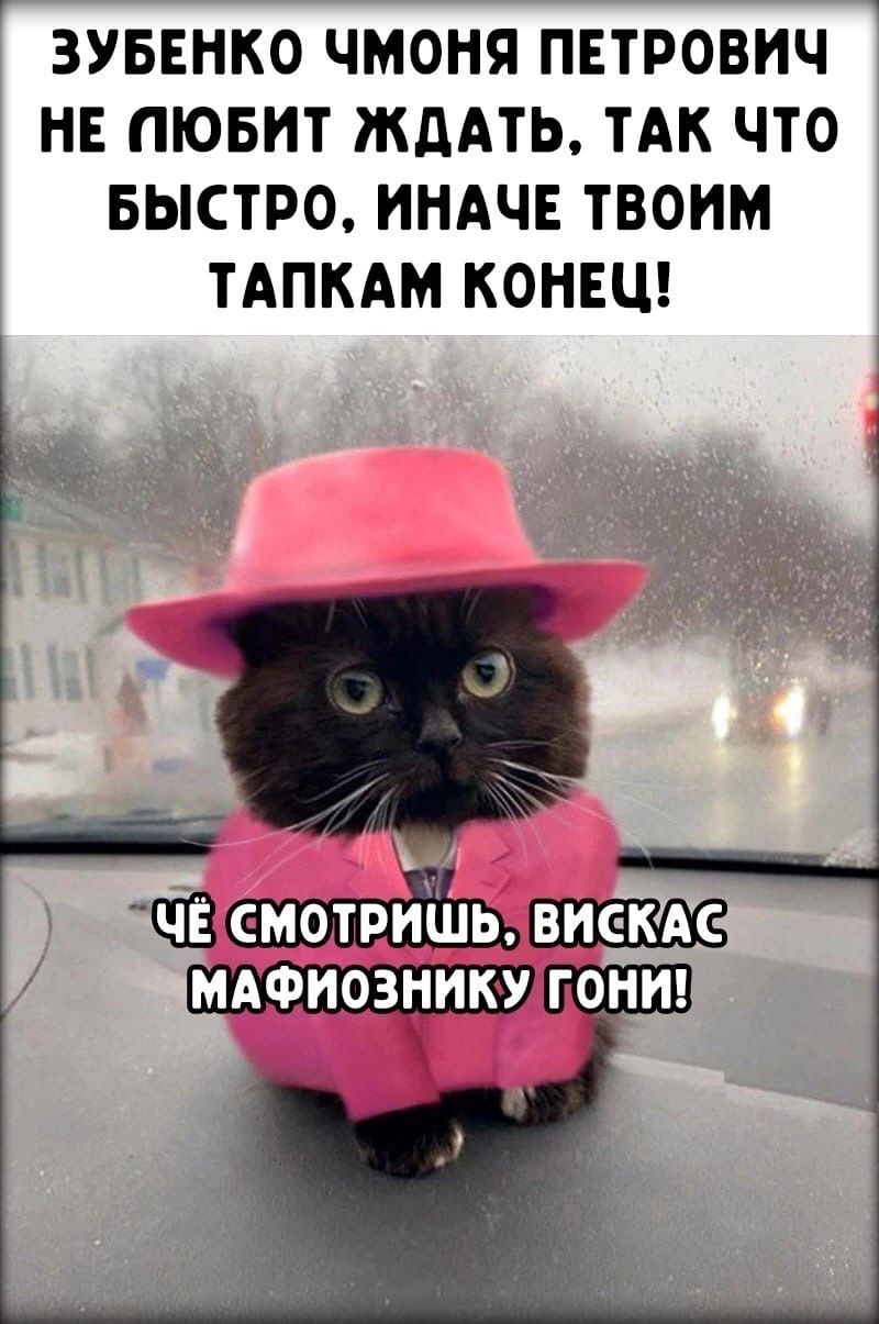 ЗУБЕНКО ЧМОНЯ ПЕТРОВИЧ НЕ ПЮБИТ ЖДАТЬ ТАК ЧТО БЫСТРО ИНАЧЕ ТВОИМ ТАПКАМ КОНЕЦ дви Бжшшж МАФИОЗНИКУ
