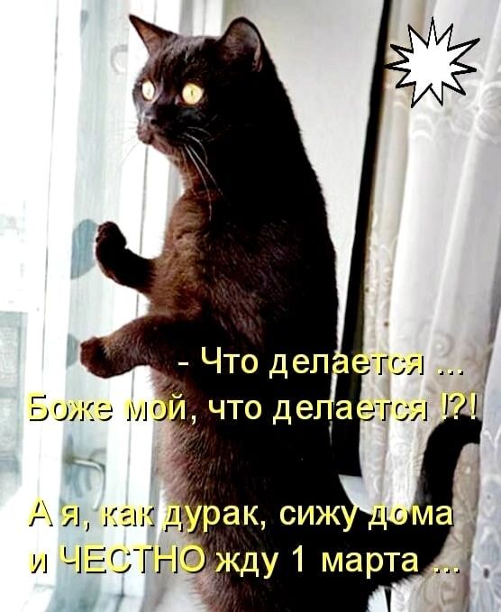 и ЧЕТНГ