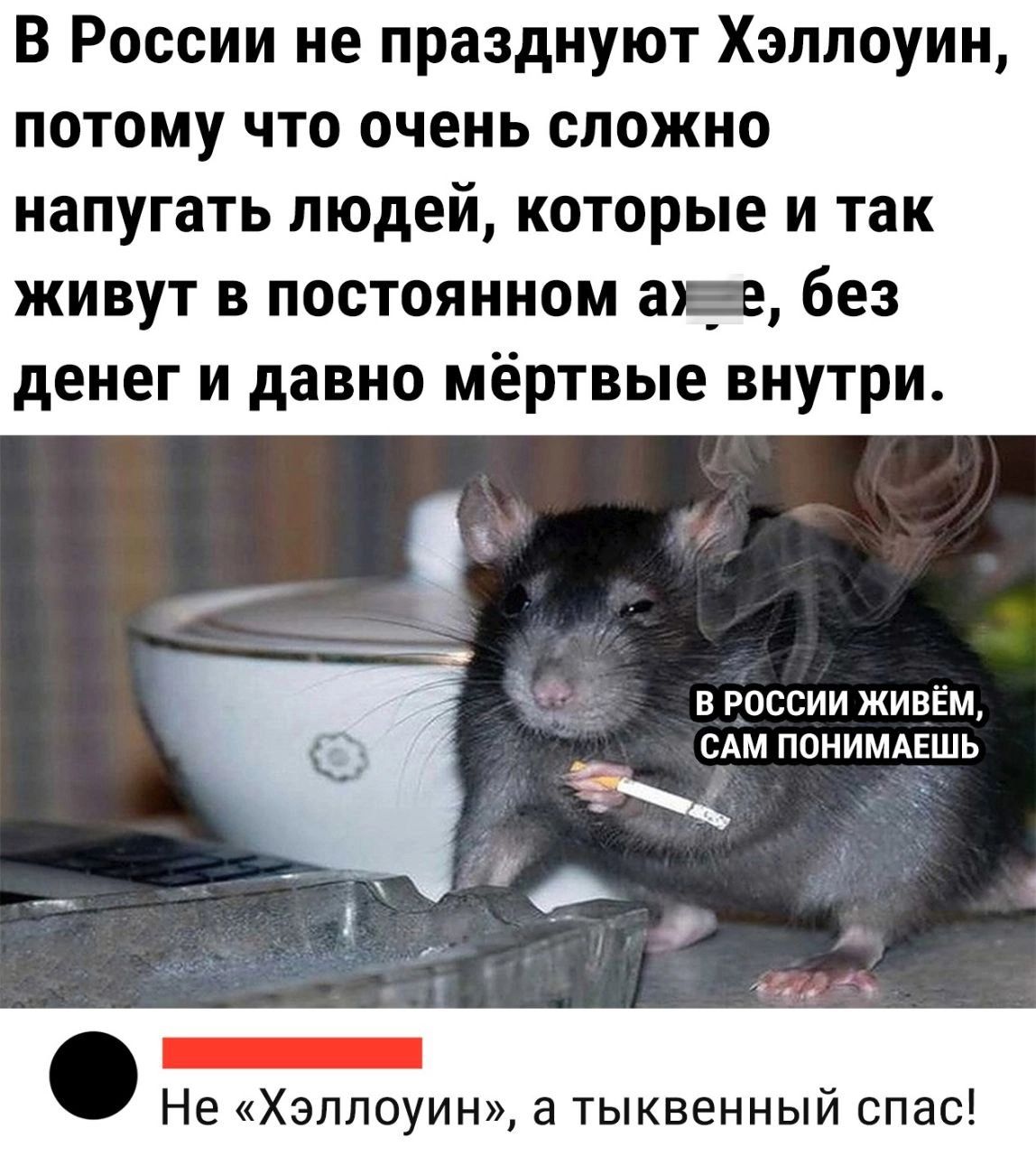 В России не празднуют Хэллоуин потому что очень сложно напугать людей которые и так живут в постоянном аце без денег И давно МЁРТБЬЮ ВНУТРИ в россии живём сим понимдвшь эллоуин а тыквенный спас