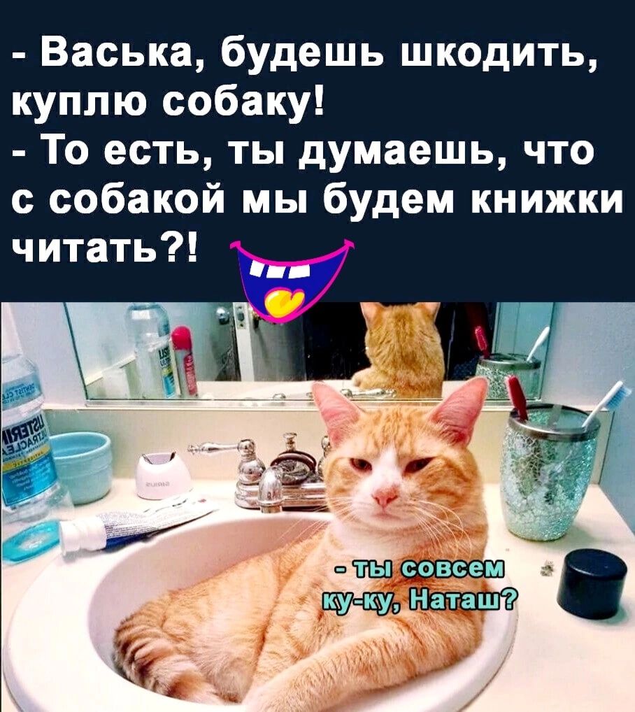 Васька будешь шкодить куплю собаку То есть ты думаешь что с собакой мы будем книжки читать