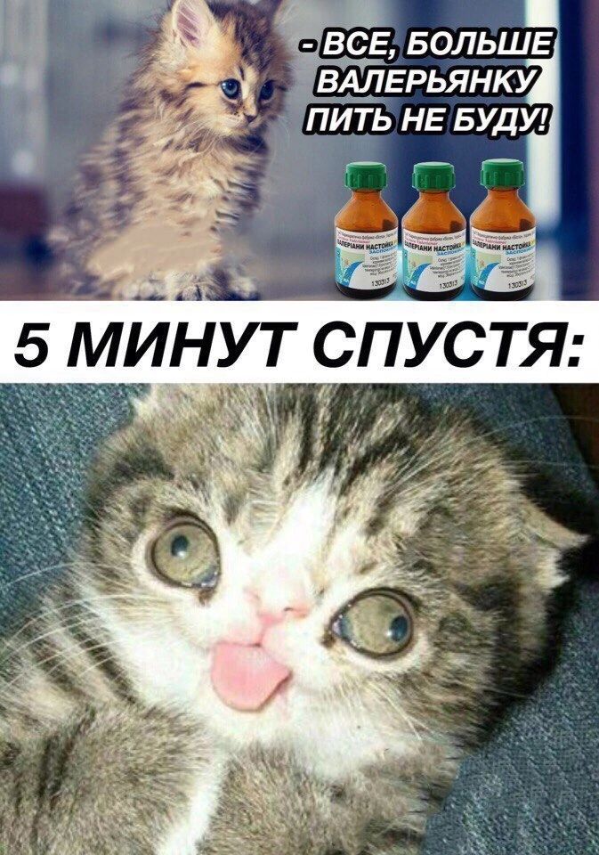 Спустя: в