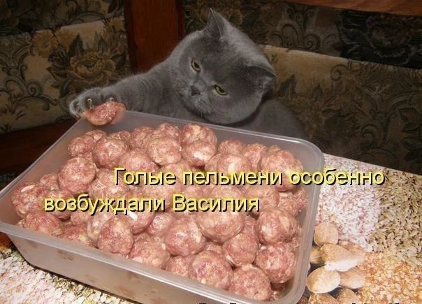 ыышид