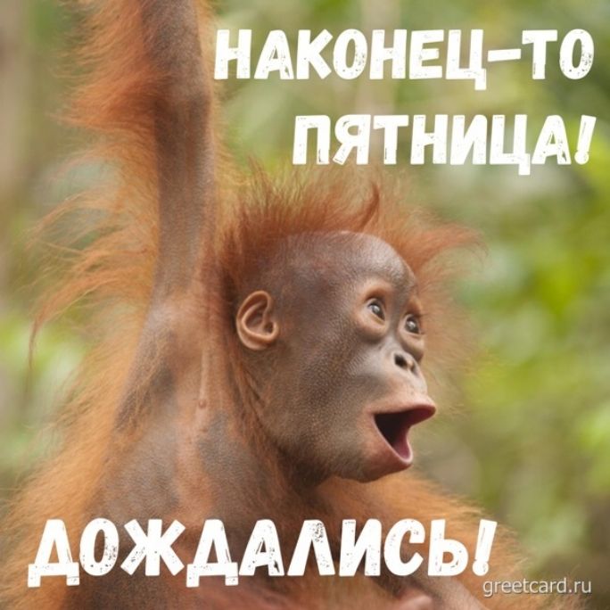 японецто пятницы о ё А0ЖАААИСЦ
