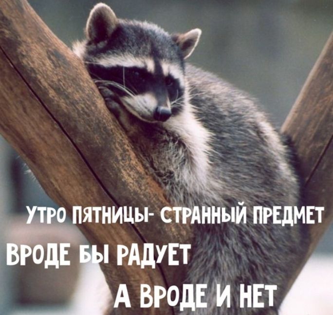 Ёпятниц странный предмет  радует а вродем нет