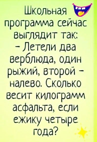 Школьная программа сейчас выглядит так Летели два верблюда один рыжий второи налево Сколько весит килограмм асфальта если ежику четыре года