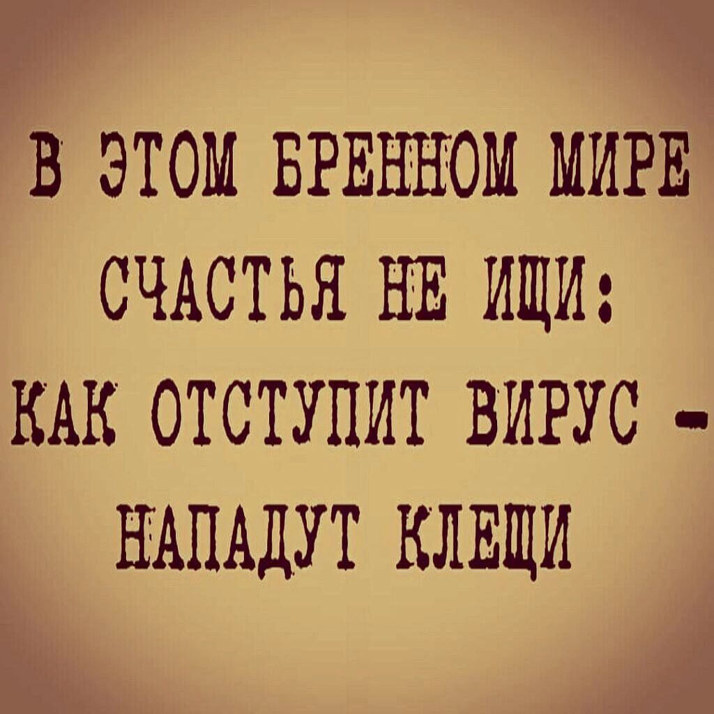 В ЭТОМ БРЕННОМ МИРЕ СЧАСТЬЯ НЕ ИЩИ КАК ОТОТУПИТ ВИРУС НАПАДУТ КЛЕЩИ