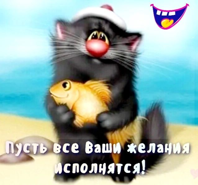 Ваці ела ыы сполчятся
