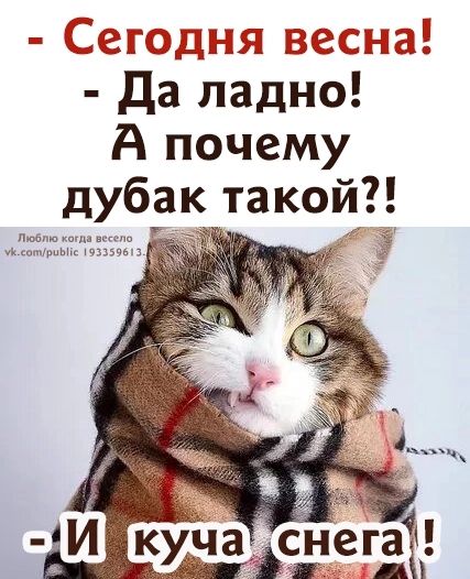 Сабицы весь нг Да ладно А почему дубак такой пив