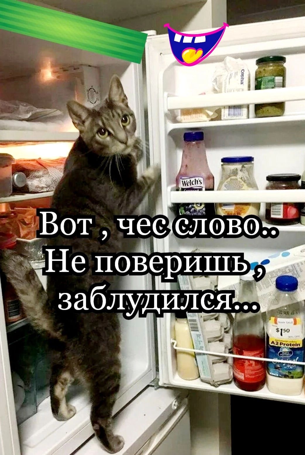 84 заблудИлся