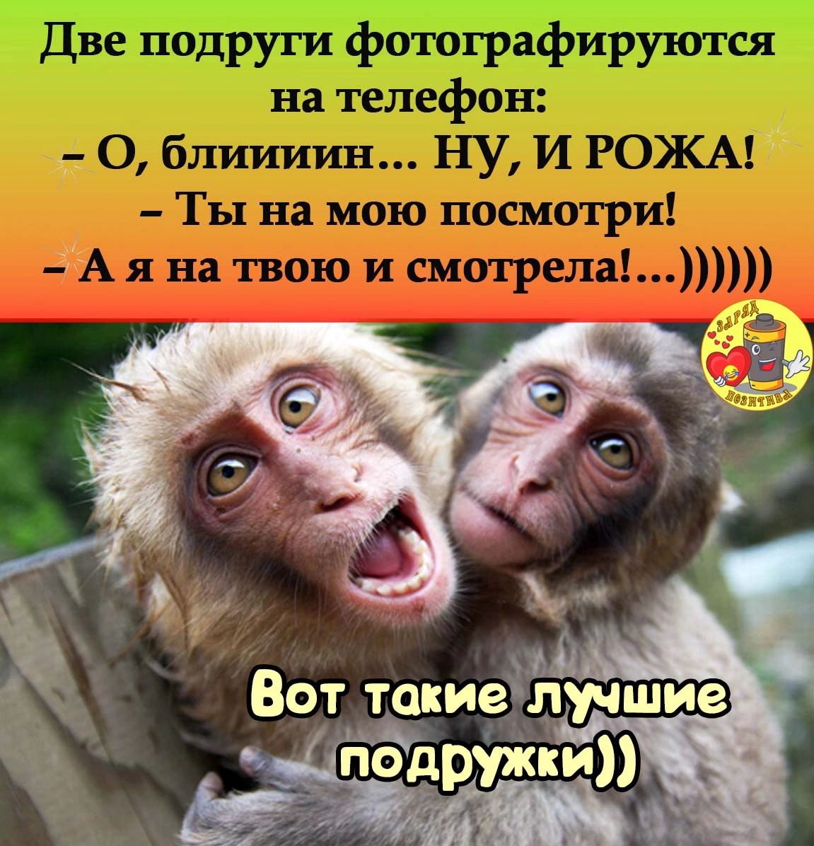 Вот. Такиелучшие