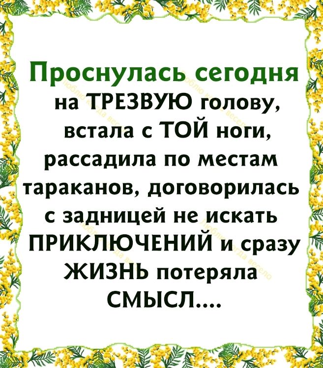 Проснулась сегодня на трвзвую голову встала с ТОЙ ноги рассадила по местам тараканов договорилась с задницей не искать ПРИКЛЮЧЕНИЙ и сразу ЖИЗНЬ потеряла СМЫСЛ