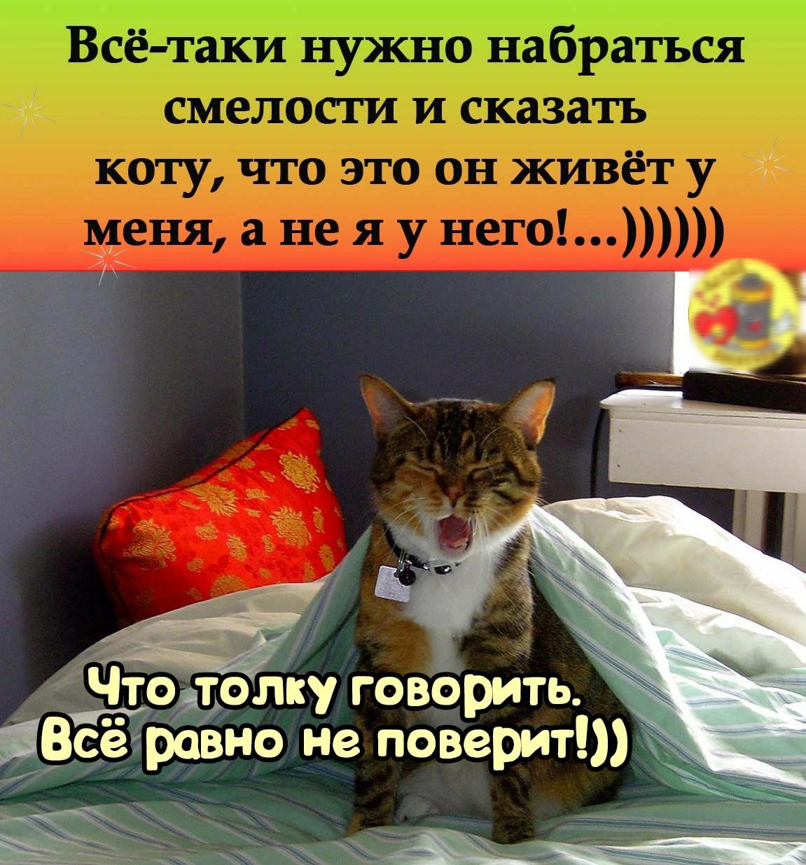 тіу гово о не поверит __