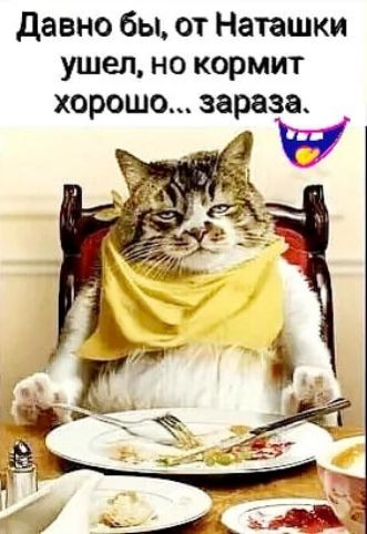 давно бы от Наташки ушел но кормит хорошо зараза и