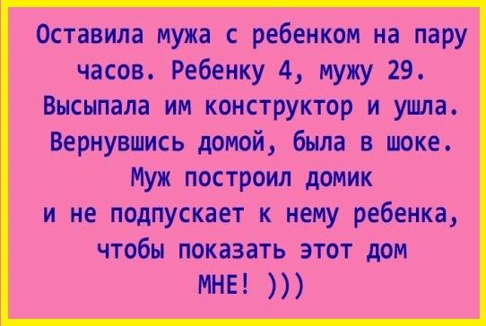 Оставила мужа с ребенком на пару часов Ребенку 4 мужу 29 Высыпала им конструктор и ушла Вернувшись домой была в шоке Муж построил домик и не подпускает к нему ребенка чтобы показать этот дом МНЕ