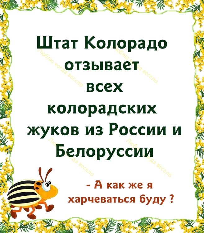 Штат Колорадо отзывает всех копорадских жуков из России и Белоруссии А как же я харчеваться буду