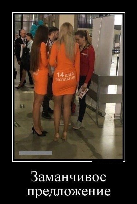 Заманчивое предложение