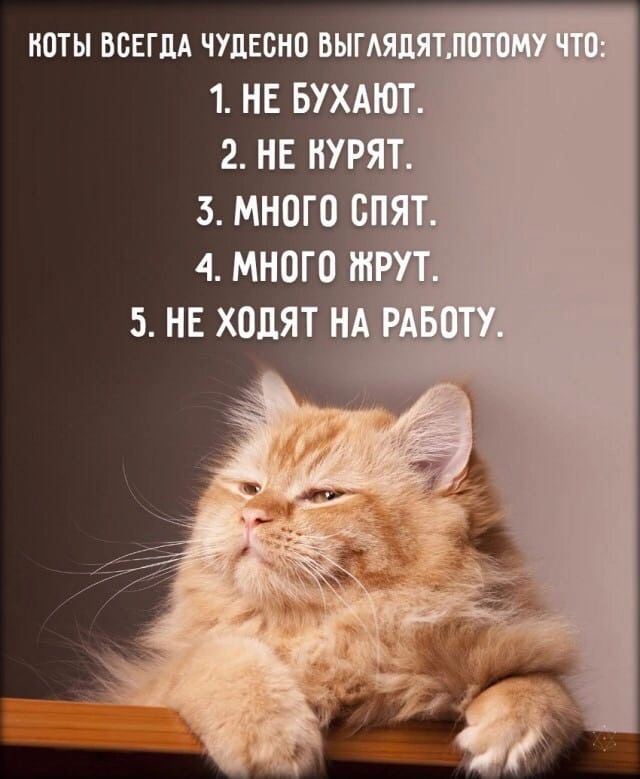 НОТЫ ВСЕГДА ЧУДЕВНО ВЫГАЯГНШГ ім 1 не вухд 2 нг пугая 1