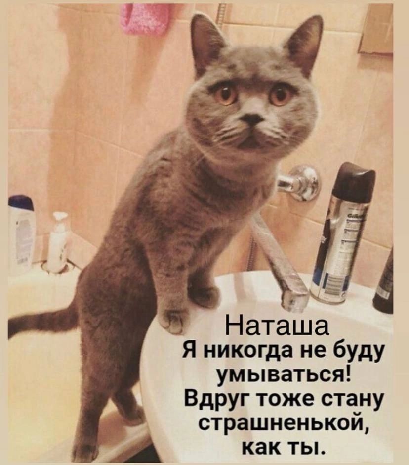 Наташа Я никогда не буду умываться Вдруг тоже стану страшненькой как ты