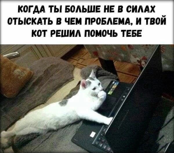 КОГ АА ТЫ БОАЬШЕ НЕ В ОИААХ ОТЫОКАТЬ В ЧЕМ ПРОБЛЕМА И ТВОЙ КОТ РЕШИА ПОМОЧЬ ТЕБЕ