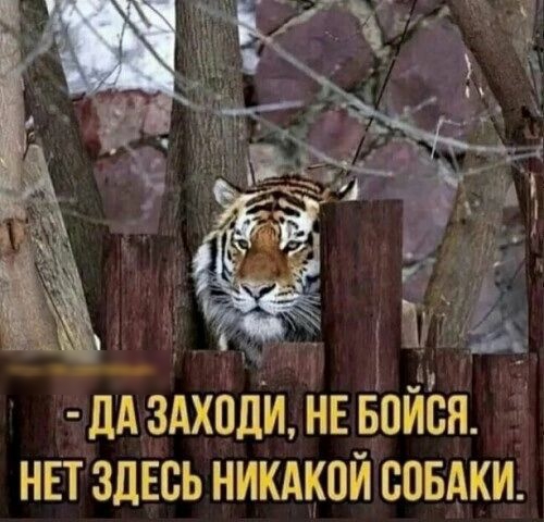 _дЁздхпди НЕЁойён нвт здЕсь никдкой совАки