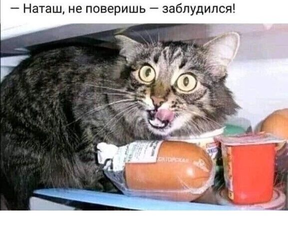 Наташ не поверишь заблудился