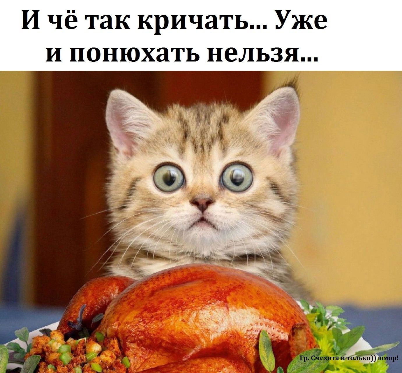 И чё так кричать Уже и понюхать нельзя