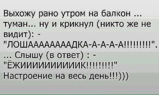 Выхожу рано утром на балкон туман ну и крикнул никто же не видит ЛОШААААААААДКА А А АА Слышу в ответ ЁЖИИИИИИИИИИК Настроение на весь день