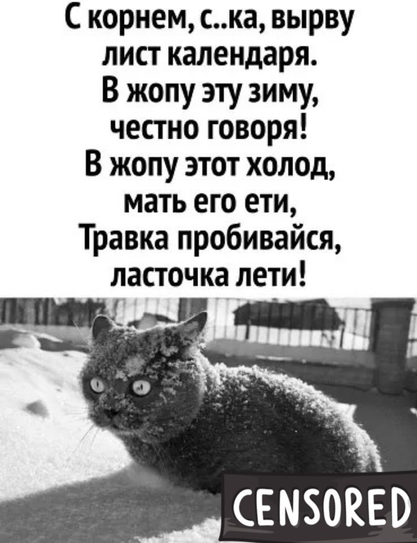 С корнем ска вырву лист календаря В жопу эту зиму честно говоря В жопу этот холод мать его ети Травка пробивайся ласточка лети свмзонвв