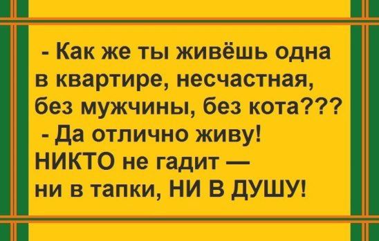 Как же ты живёшь одна в квартире несчастная без мужчины без кота Да отлично живу НИКТО не гадит ни в тапки НИ В ДУШУ