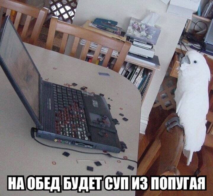А обед будп' супиз шп