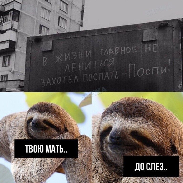 и Т А м Ю 0 в Т