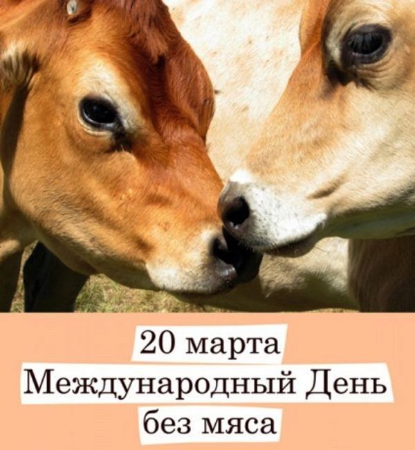 20 марта Международный День без мяса