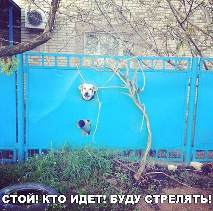у СТОИ КТО ИДЕТ Б дУ ТРЁЁ ПЯТЬ