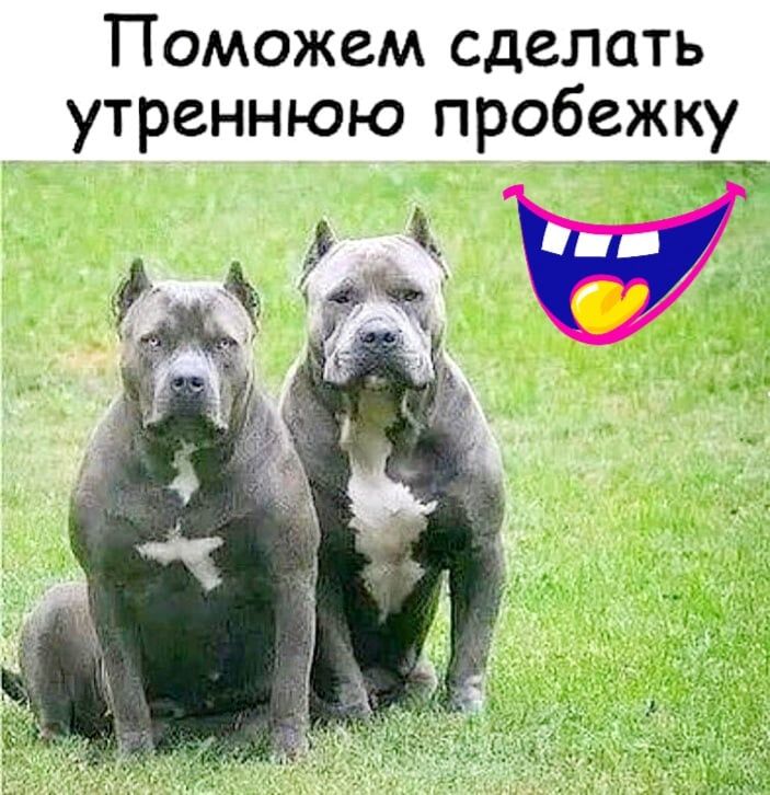 Поможем сделать
