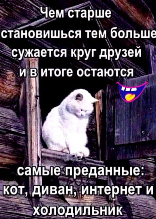 Чемйтрще становишься тем больще Фсугіёается круг друзей к Чите остаются