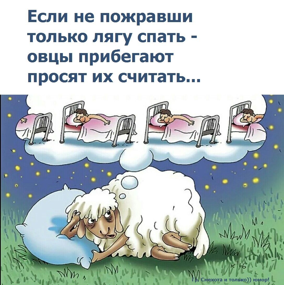 Если не пожравши только лягу спать овцы прибегают просят их считать