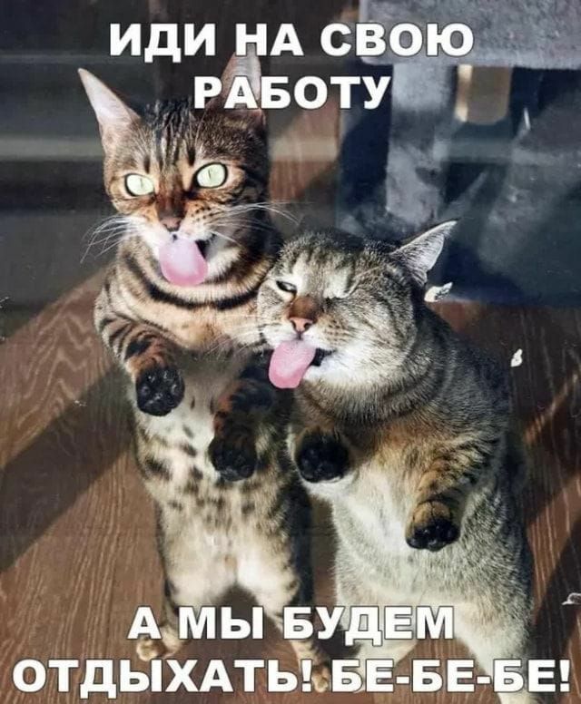 цьг иди НА св Р воту