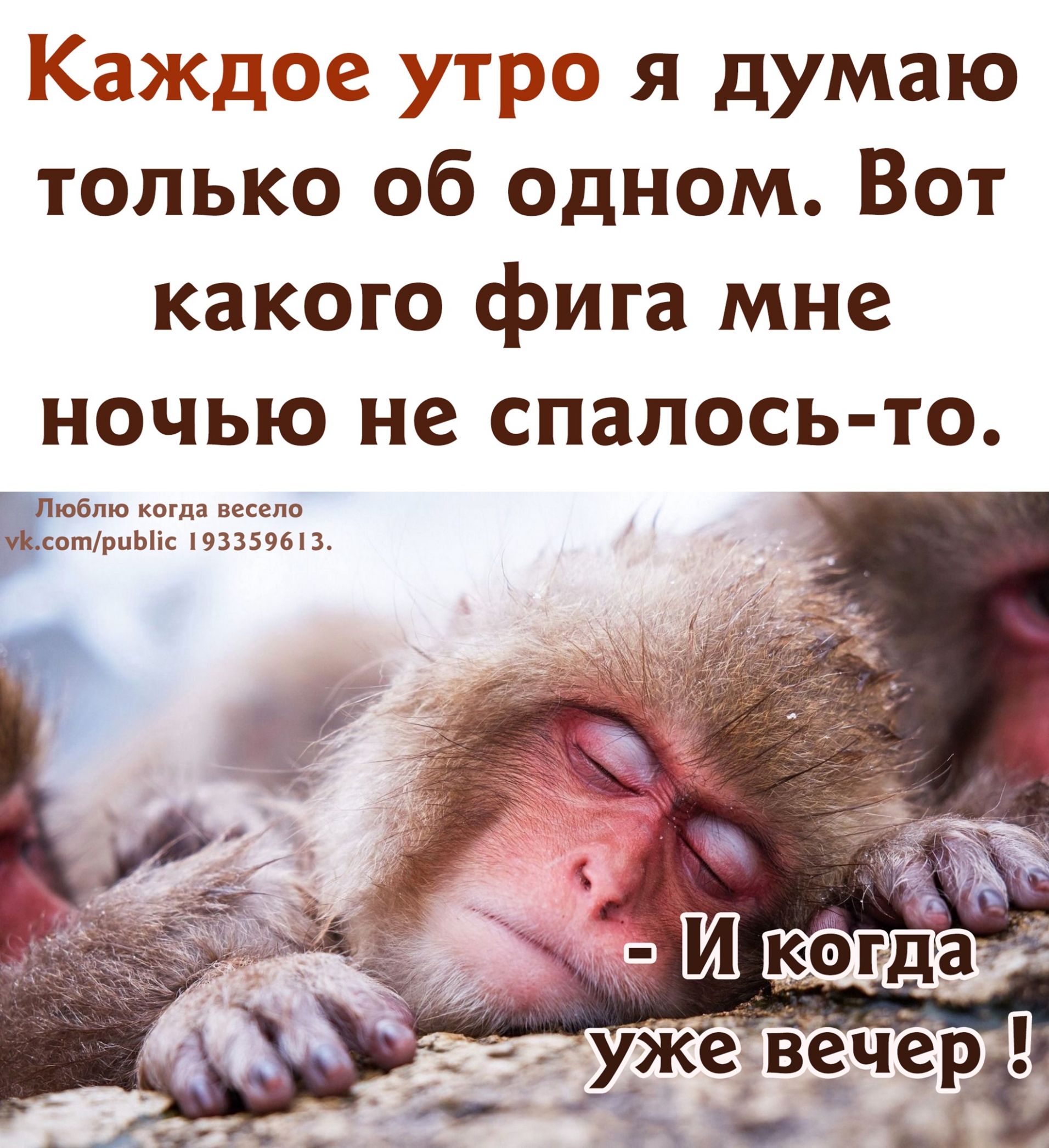 Кажцое утро я думаю только об одном Вот какого фига мне ночью не спалось то юблю когда весело сотриЫіс 193359613 _ _ евужч гр _ _ _ _ нг Ё