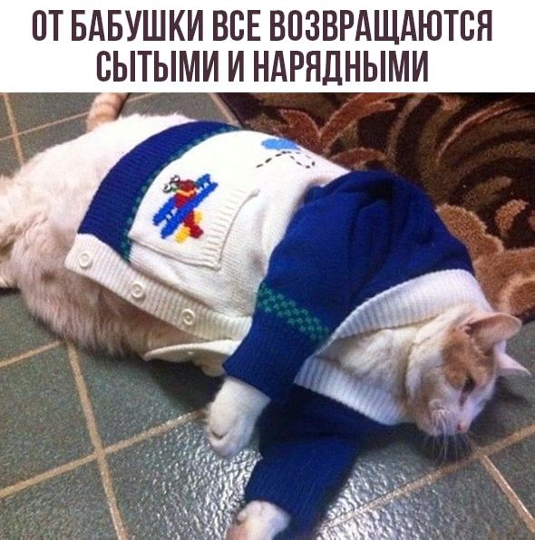 ПТ БАБУШКИ ВСЕ ВПЗВРАЩАЮТВН БЫТЫМИ И НАРНДНЫМИ