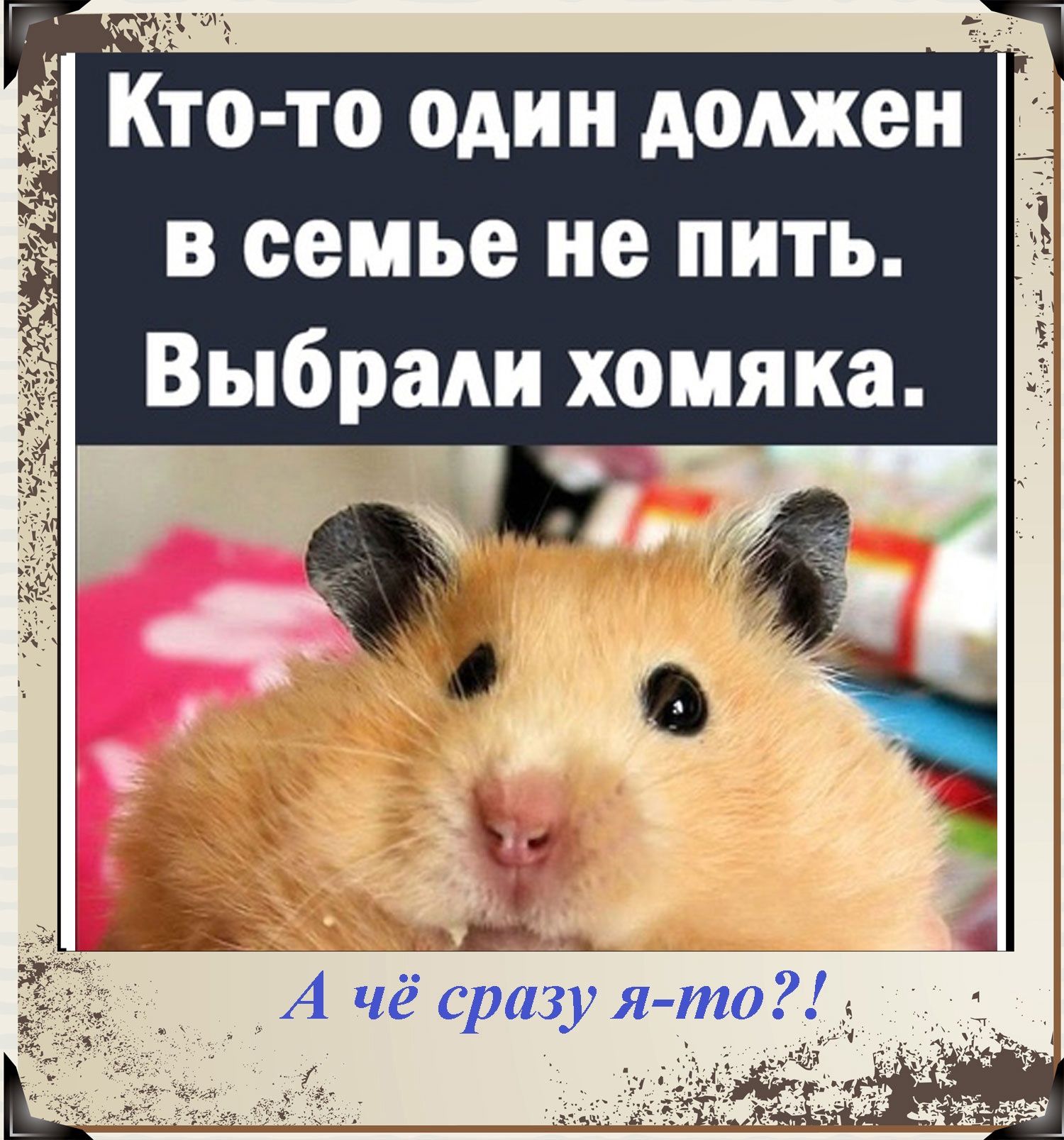 в семье не пить Выбрали хомяка Ё г
