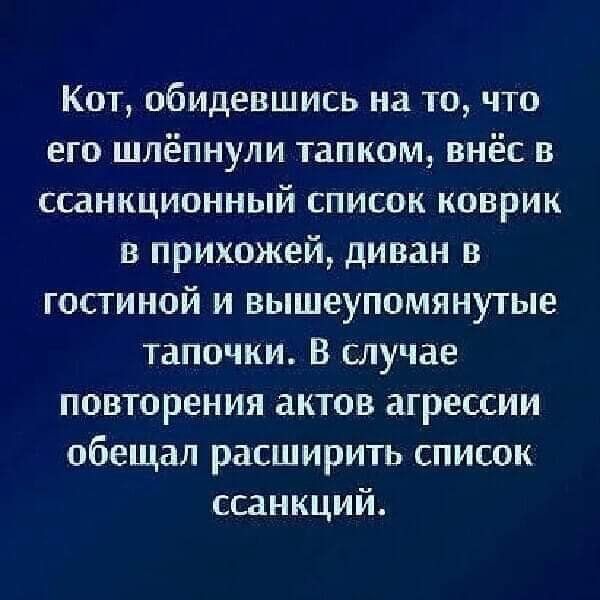 Кот обидевшись на то что его шлёпнули тапком внёс в ссанкционный список коврик в прихожей диван в гостиной и вышеупомянутые тапочки В случае повторения актов агрессии обещал расширить список ссанкций