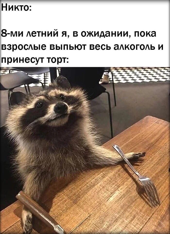 Никто 8 ми Аетний я в ожидании пока взросдые выпьют весь аАКОГОАЬ и принесут торт