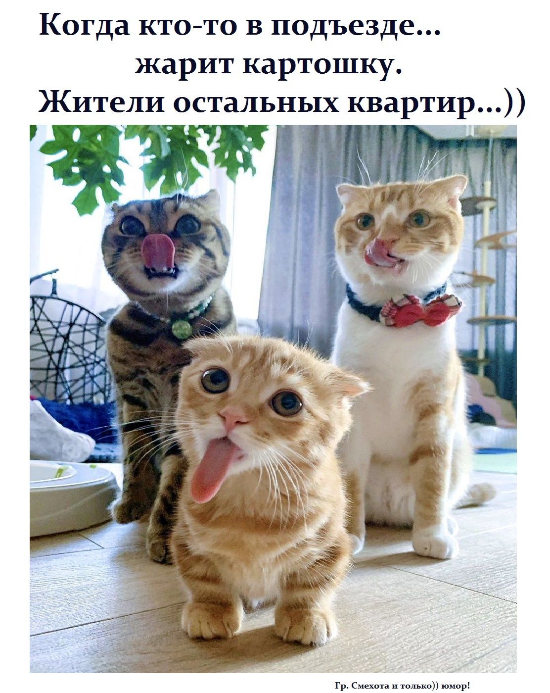 Когда кто то в подъезде жарит картошку Жители остальных квартир Гр Смысл а и только юмор