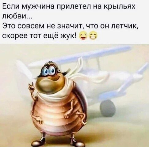 Если мужчина прилетел на крыльях любви Это совсем не значит что он летчик скорее тот ещё жук С 53