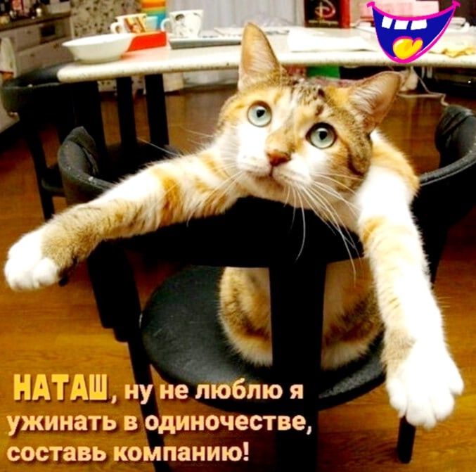 1 ну не ліббпю я ужинать в одиночестве составь компанию