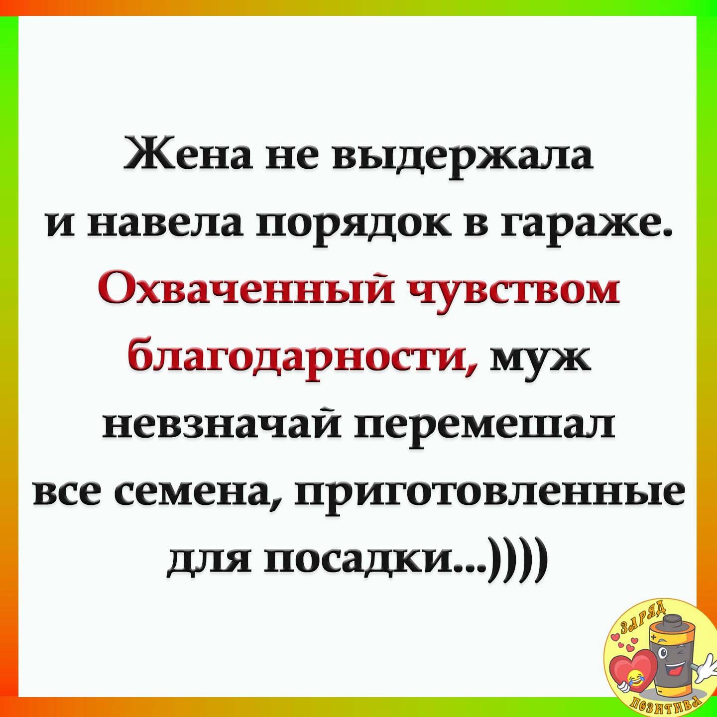 Жена не выдержала и навела порядок в гараже Охваченный чувством благодарности муж невзначай неремешал все семена приготовленные для носадки