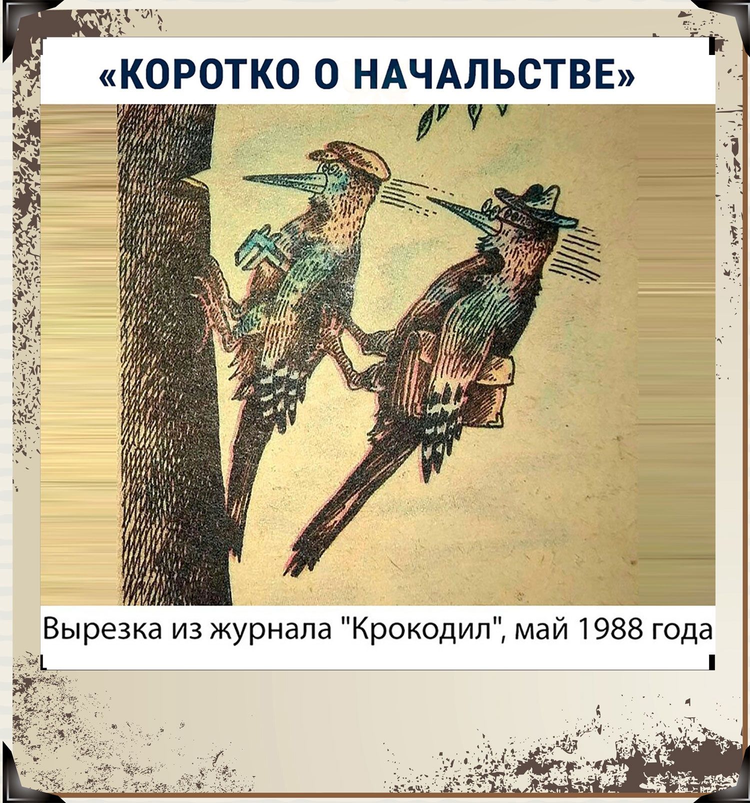 1988 года май л И д 0 К 0 р шп 8 Л 8 Н 0 У Ж З И 8 К 3 е р Ь В