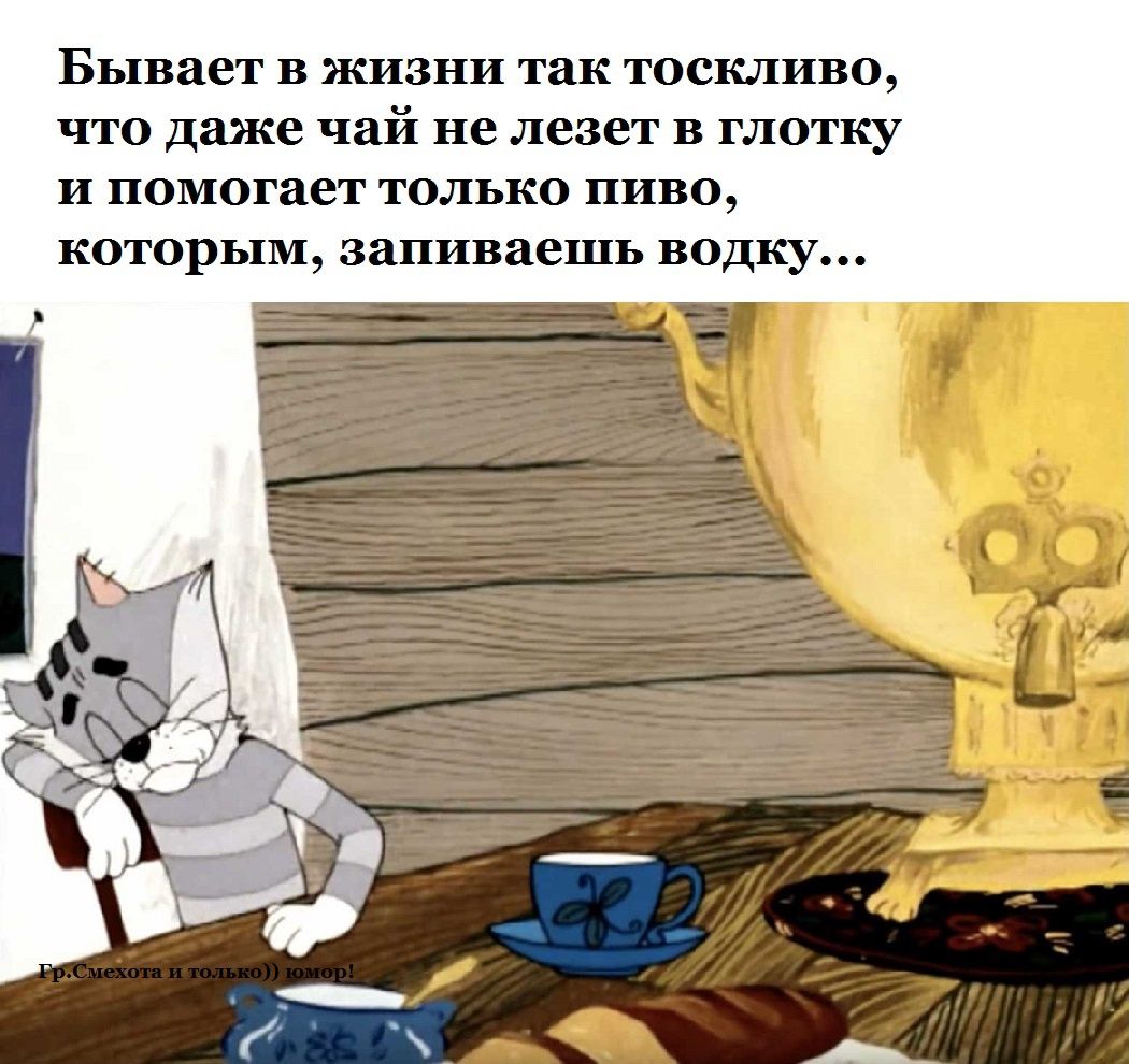 Бывает в жизни так тоскливо что даже чай не лезет в глотку и помогает только пиво которым запиваешь водку